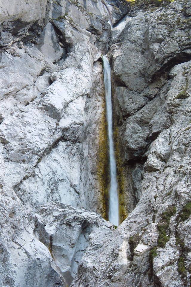 13645243_1702994389964386_5268539506587029570_n