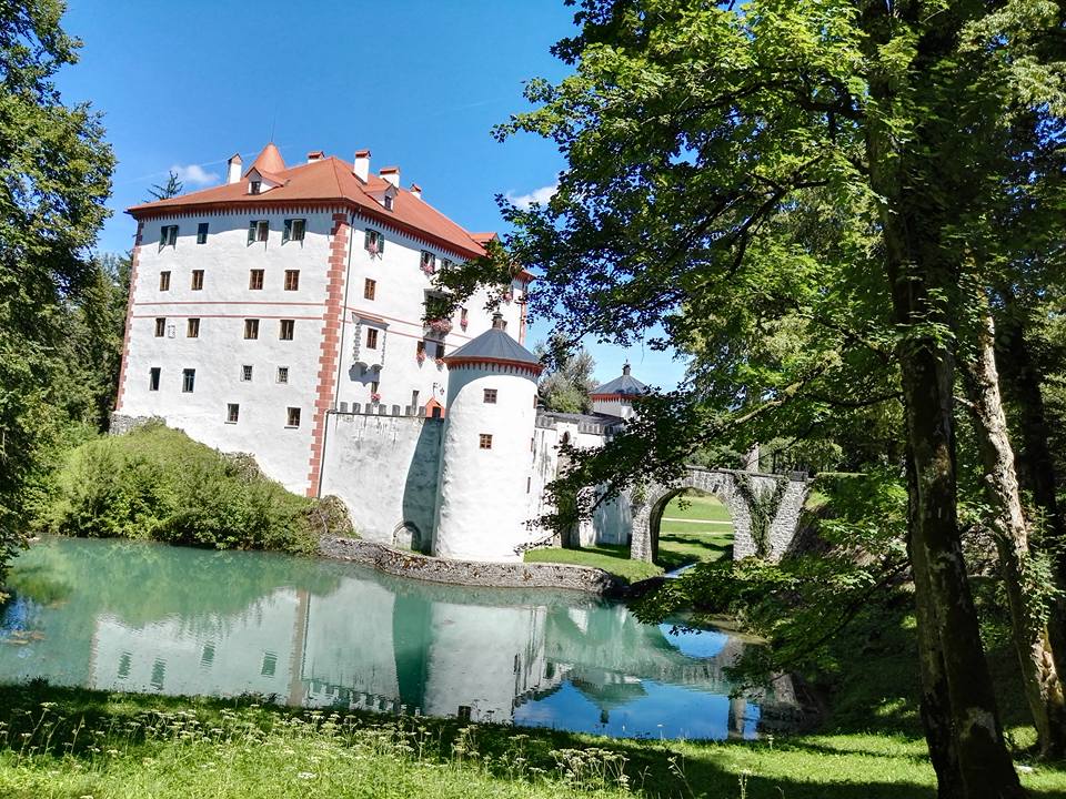 13939298_10208785082776763_564752030507593759_n