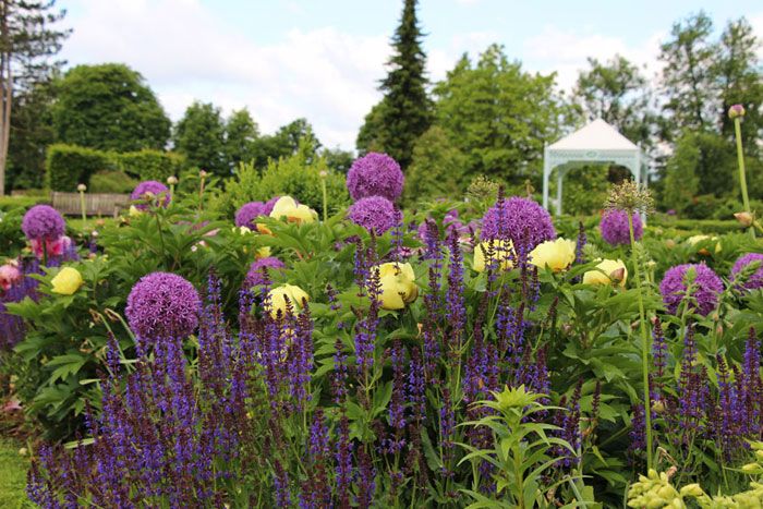 arboretum-trajnice_607797