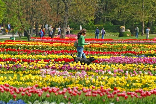 arboretum-volcji-potok-4