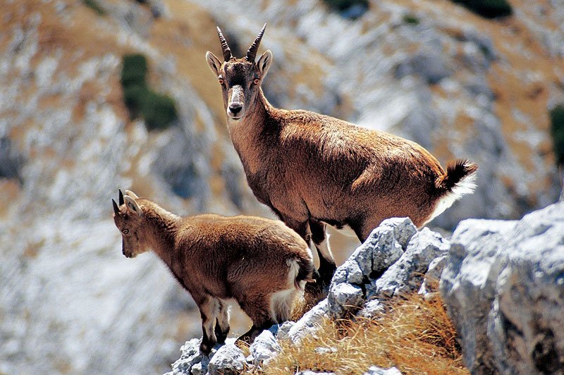 triglavski_narodni_park_2