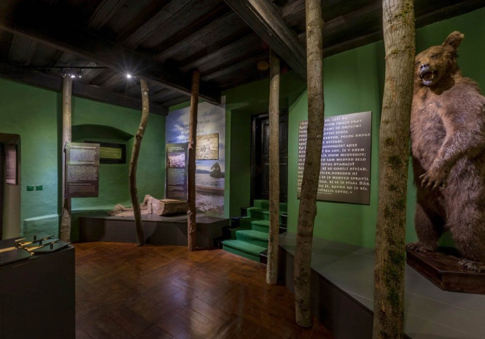 valvasorjev-pogled-v-naravo