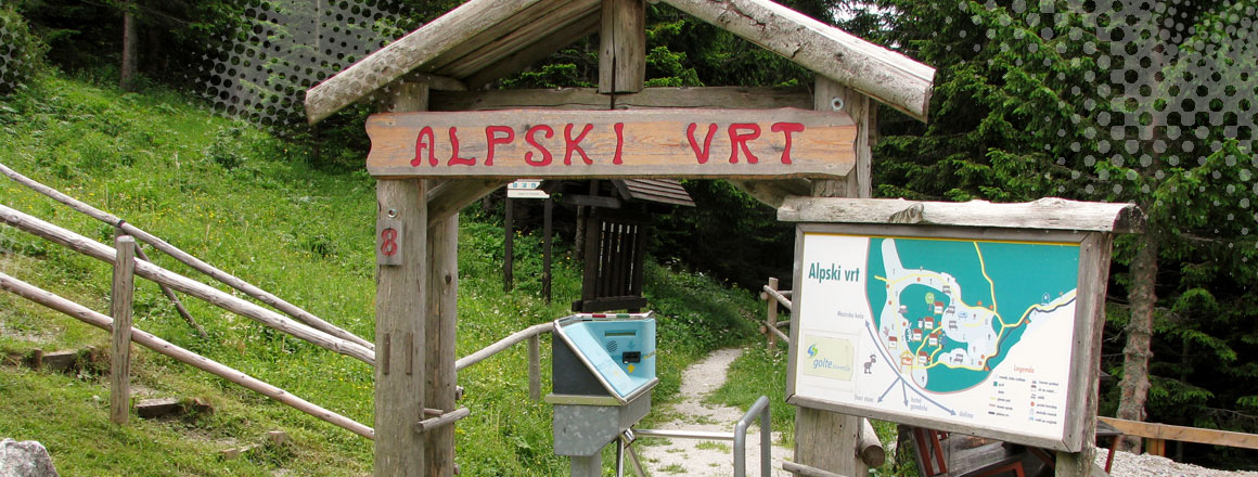 alpski_vrt