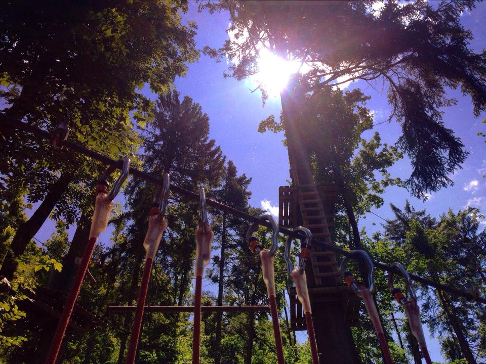 11659446_1003681206338313_3962086105572713413_n