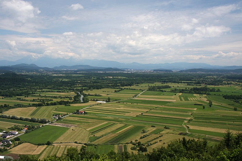 800px-Ljubljana_marsh_-_E