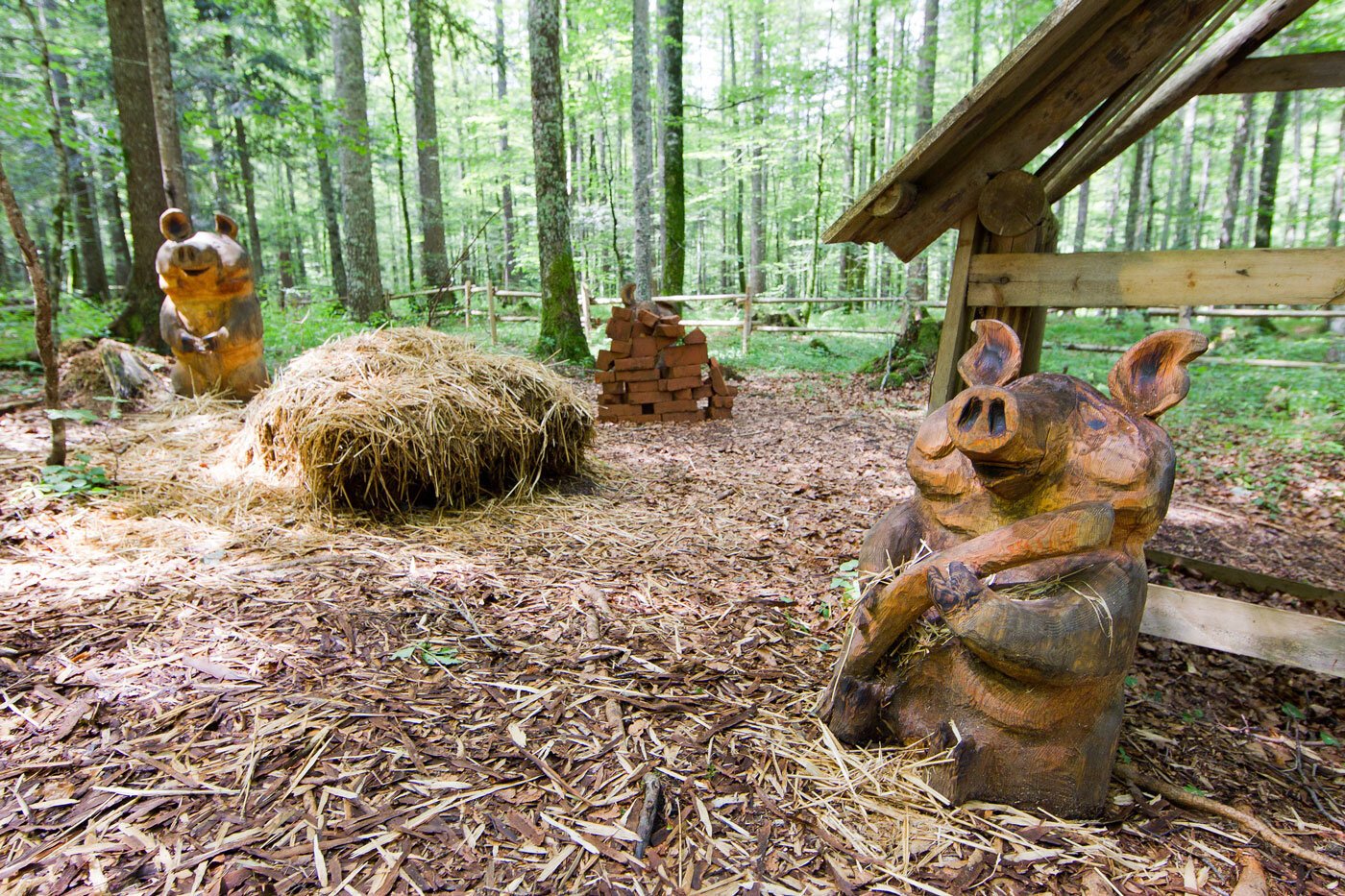 IMG_94275F-215596-6DD26D-6CC993-7F0534-F01E88