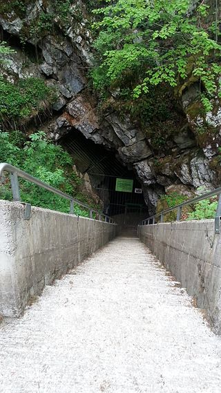 Županova_jama_-_vhod