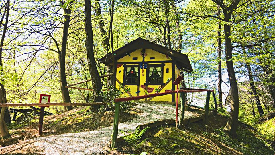 13007082_989833681092627_3116574746457993894_n