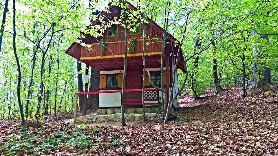 13043653_989833561092639_5267043763555240941_n