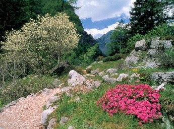 STIP_Arhiv_LTO_-_Juliana_673566