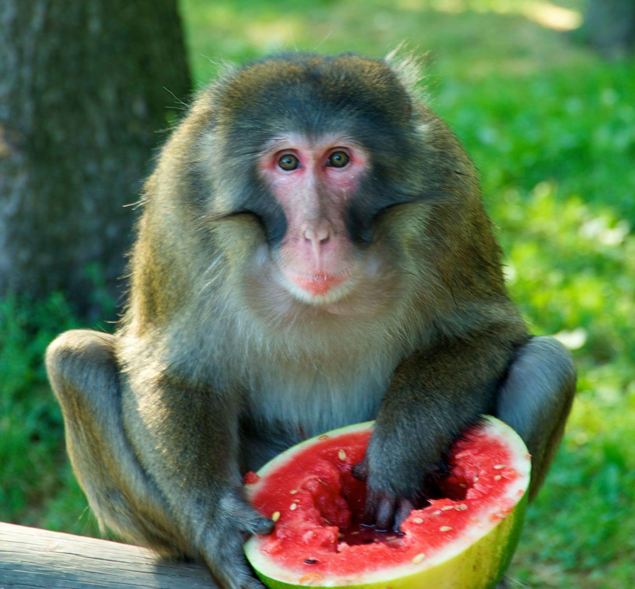 FB_IMG_1456670490775