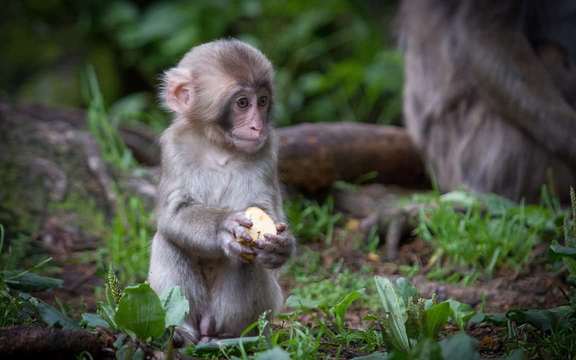 FB_IMG_1456670620236