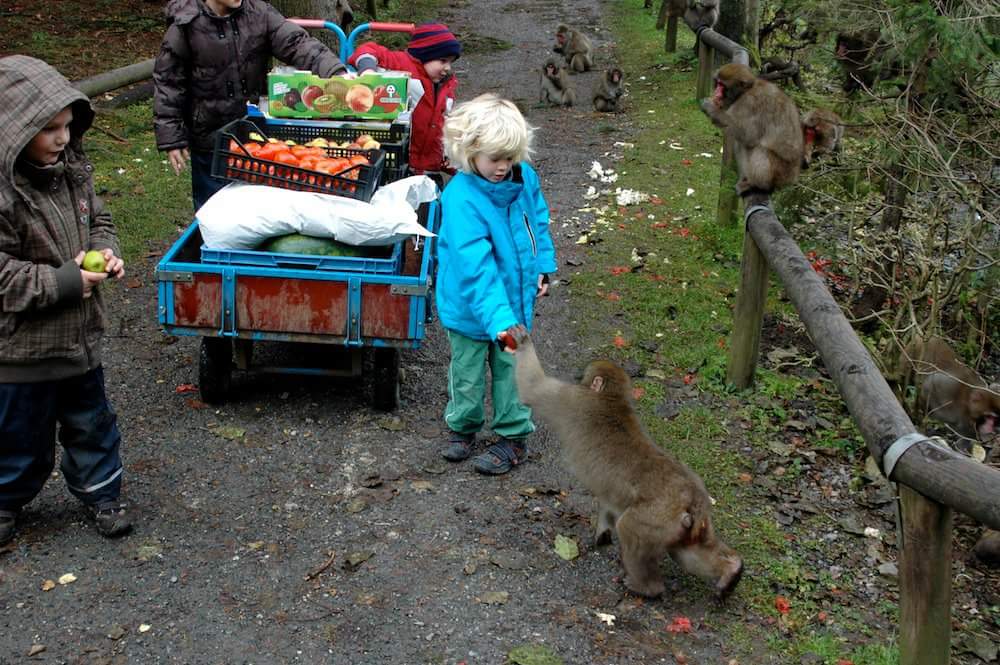 FB_IMG_1456671169282