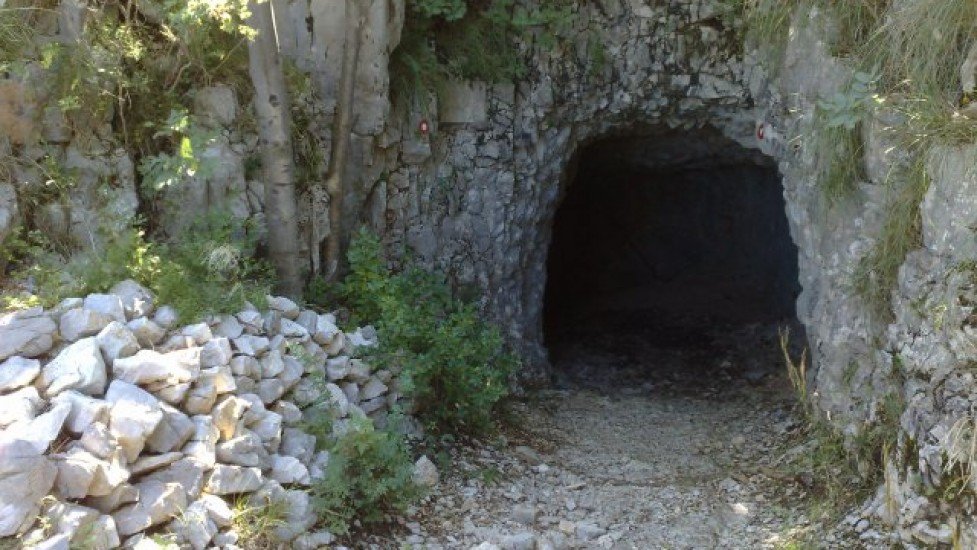 phoca_thumb_l_24082008118-7333578cfa40426fa6d89c07b3f5406a