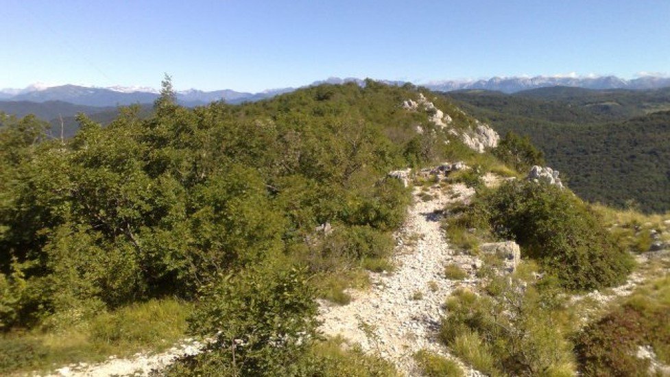 phoca_thumb_l_24082008120-c512feb28c7e53e3e62604a02b984e8a