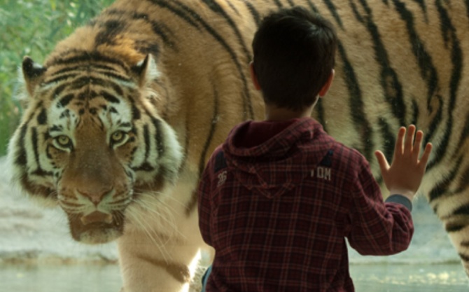 1484C97BD176902FC23FA229BCE75679