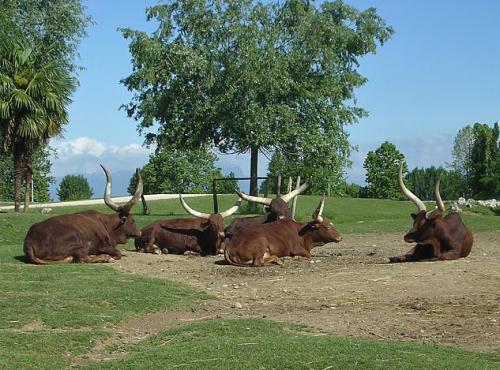 66e7c3a883006004fd1f935467bb755f