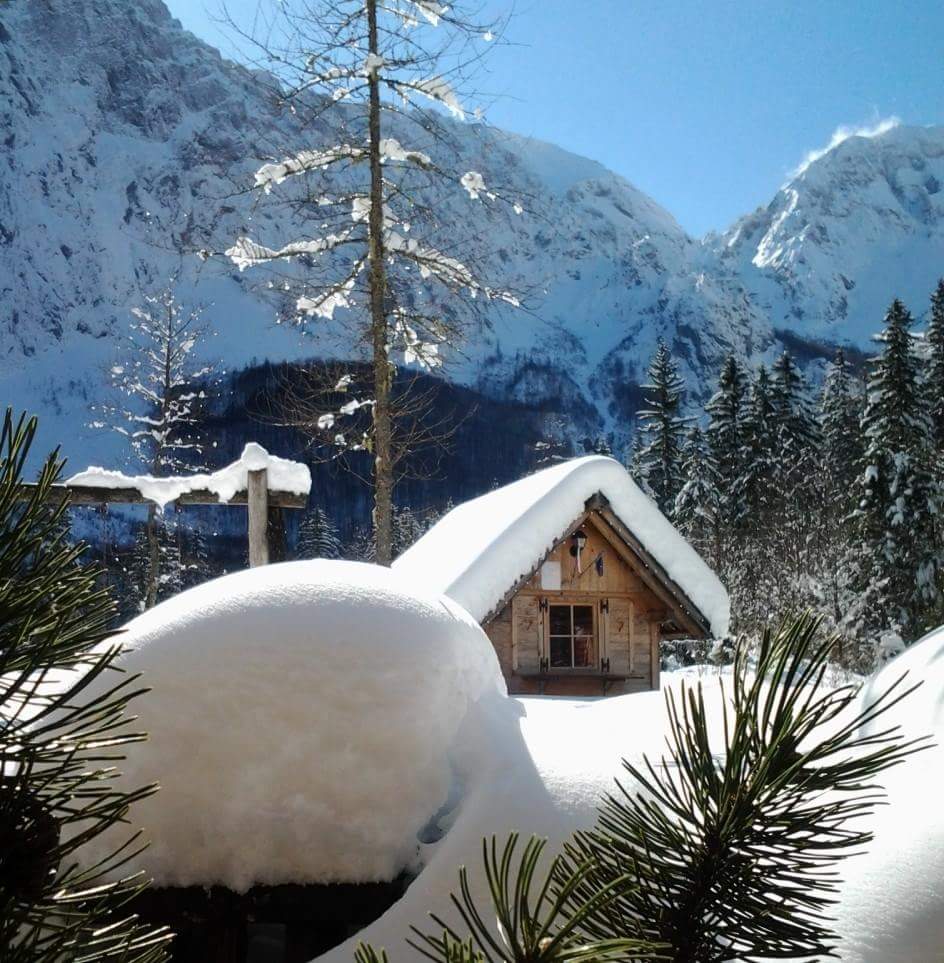 FB_IMG_1457119230525