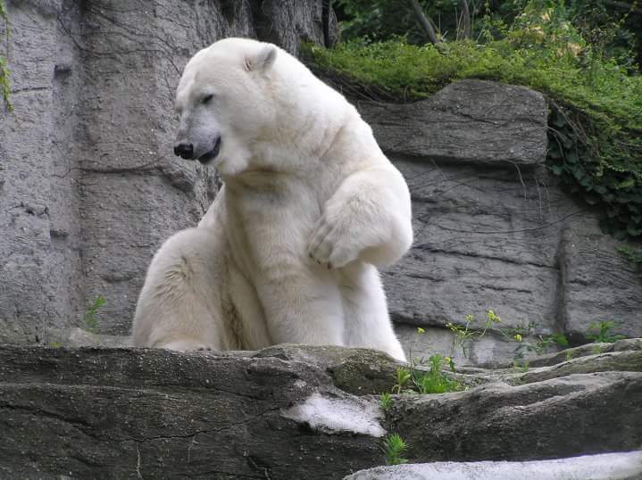 FB_IMG_1457350042588