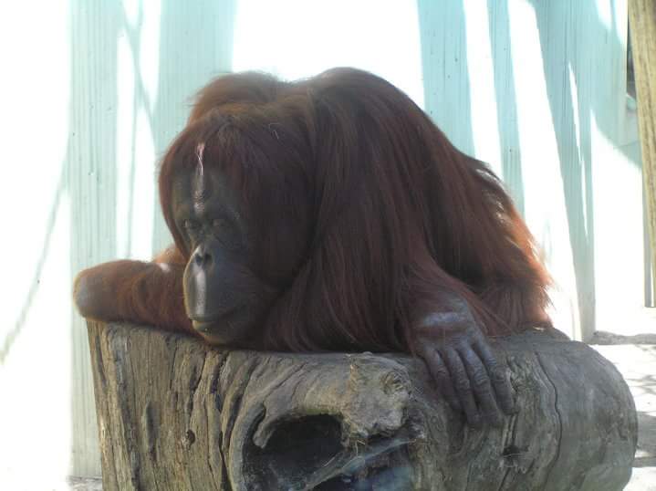 FB_IMG_1457350048254