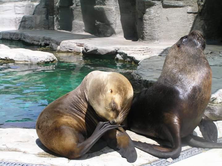 FB_IMG_1457350057543