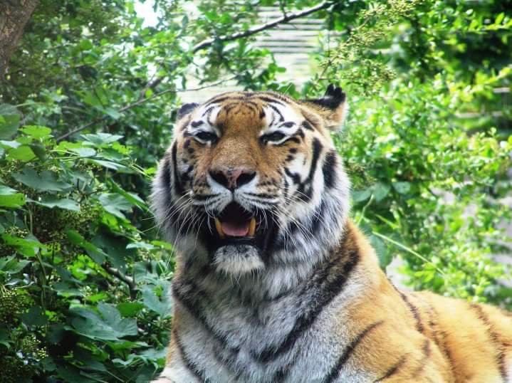 FB_IMG_1457350078745