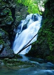 18328fc3-9f8a-463b-8704-4d41c0c3f8e2