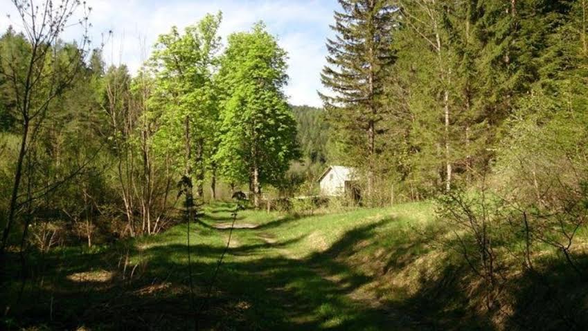 36678051-832c-4a65-be10-a9009d632459