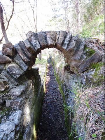 370f112a-7565-4387-97df-7f84b27a3419