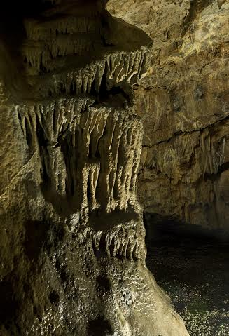 40f7b6ac-c64f-46ca-9bb4-521524041f15