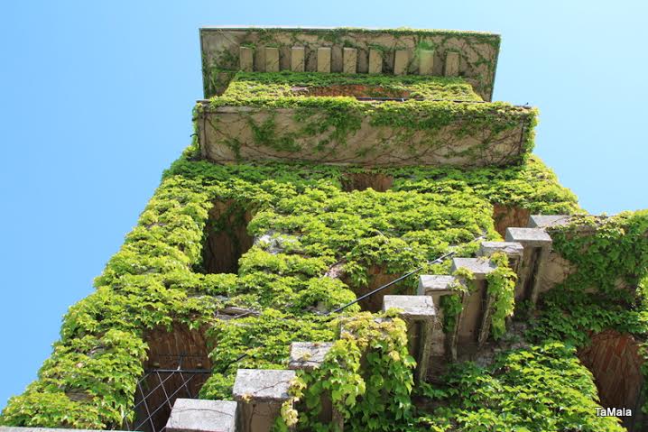 57ce18cd-fdf0-42ef-b93d-2ff7e88d9964