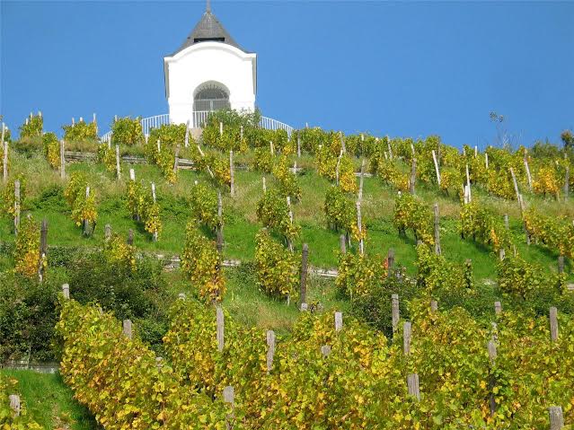 6cb9e02d-7e63-4c24-98cf-c1c0715e35bd