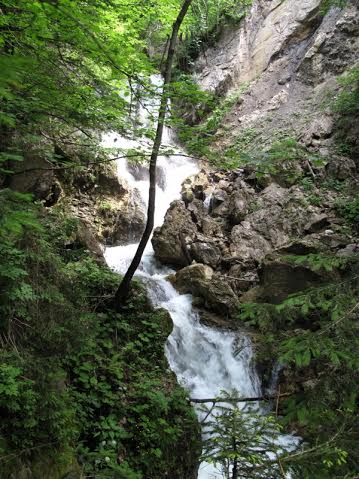 81d57197-d3a0-4473-98a0-61a2f087b0d4