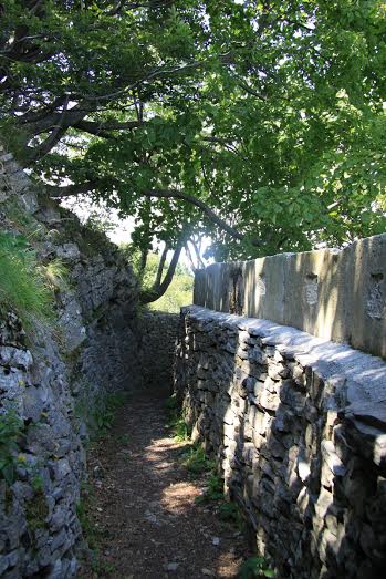 843db968-d2f5-4bbb-bbe6-810480d547f6