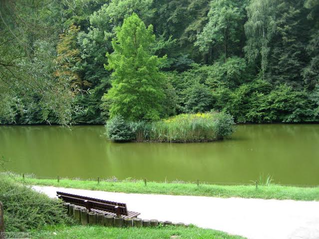 990e90b9-ba26-48c9-b52e-f326e973bd6e