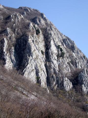 a6329520-fc19-4dbe-bb8b-84274921313b