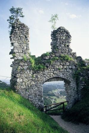 d2fd795c-5199-4e01-9e65-93d84fa72fa7