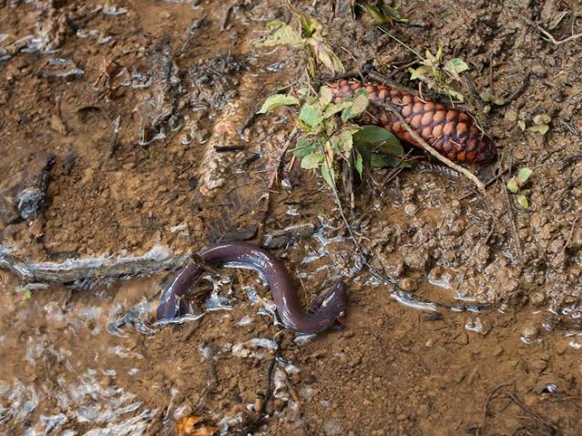 d8130abb-6d11-4934-8e10-50e743f76503