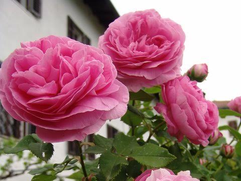 df194902-dc48-4070-b537-4368ff838f1d