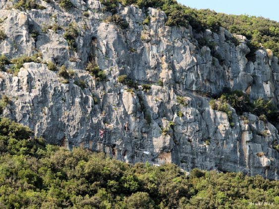 e0b4ae8d-3afb-4d5b-b251-9f69a898d61c