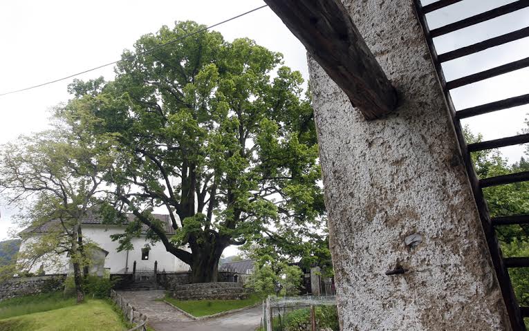 Reportaža o Baški Grapi .V Rutu, 20.5.2013