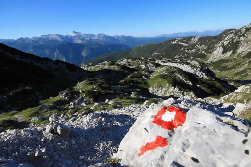 0d9fa7ed96c6bab53536f45e4c20027e