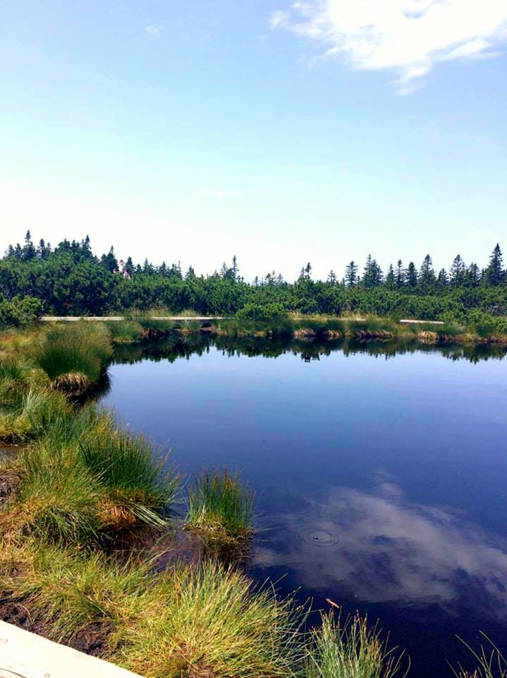 13900584_10154351789239326_185364468_n