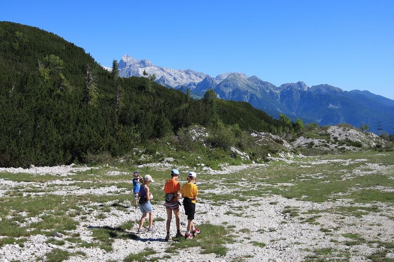 daa4935114cd3f5305102541d06b293e