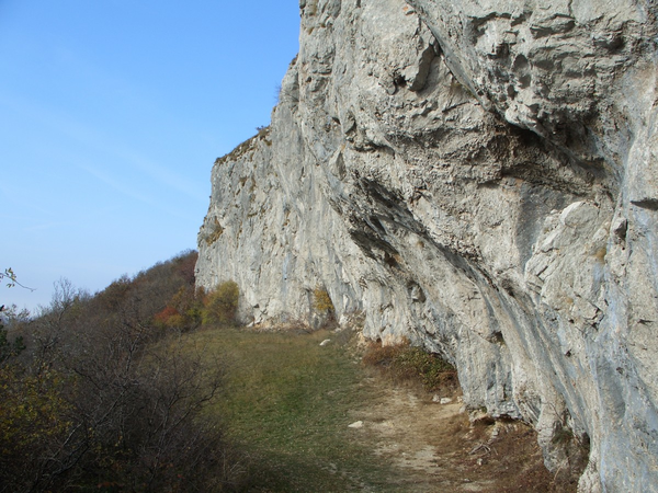 www_koper_si_8bfc5ce6c77992029683ad3738647edb