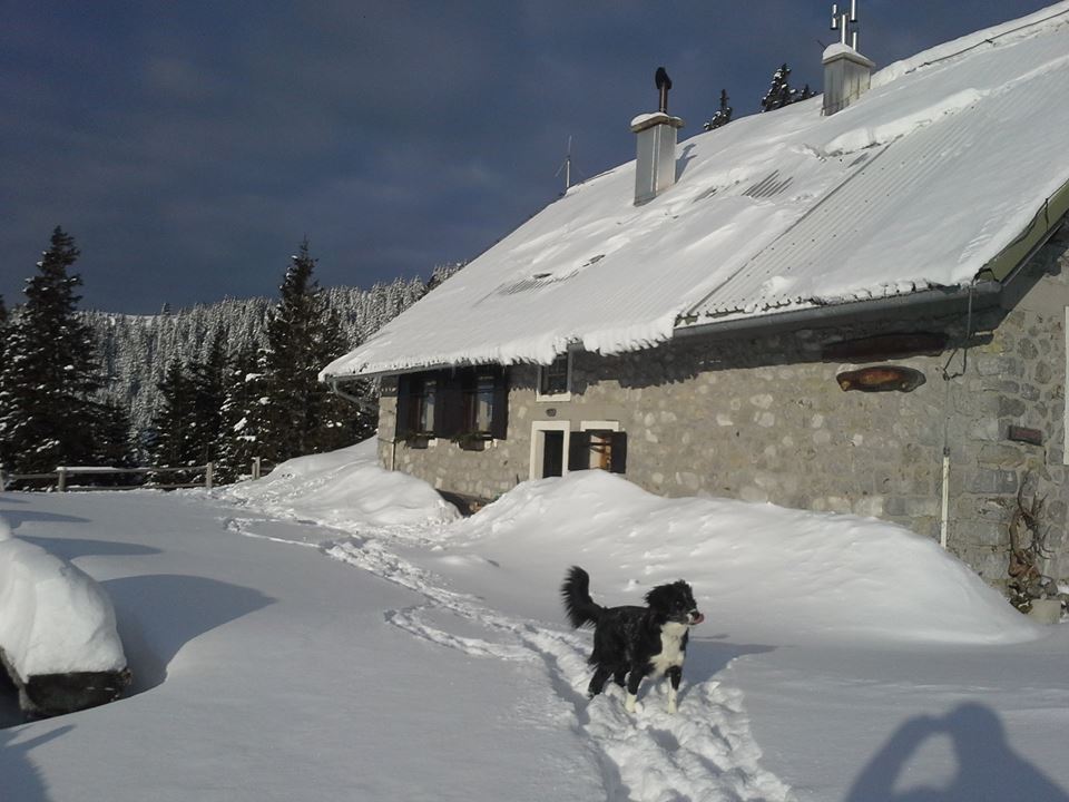 12799308_1714840392071962_5968541642616372494_n