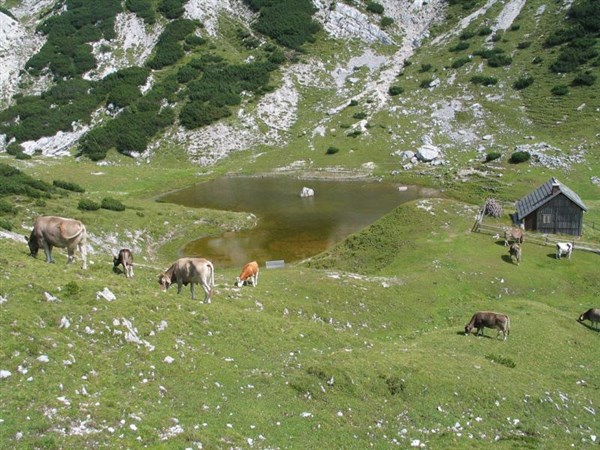 planina_vodotocne_1_v2
